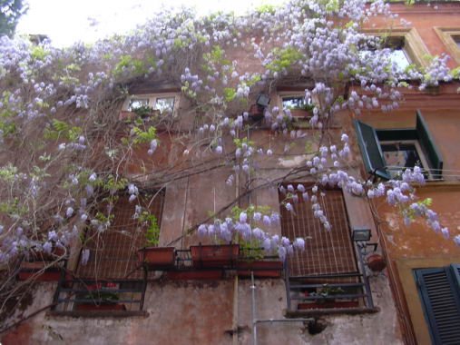 roma0011.jpg