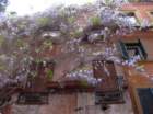 roma0011_small.jpg