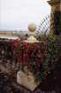roma0024_small.jpg