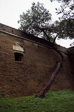 roma0025.jpg