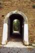 roma0026_small.jpg