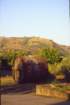 sicilia20050019_small.jpg