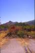 sicilia20050021_small.jpg