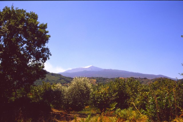 sicilia20050027.jpg