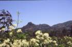 sicilia20050031_small.jpg
