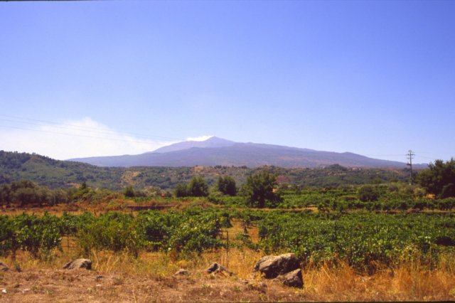 sicilia20050032.jpg