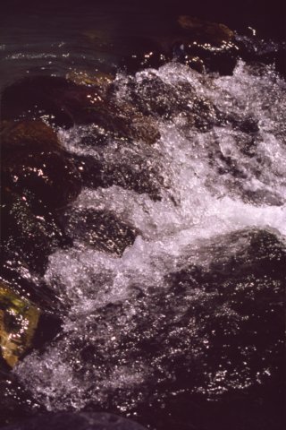 sicilia20050085.jpg