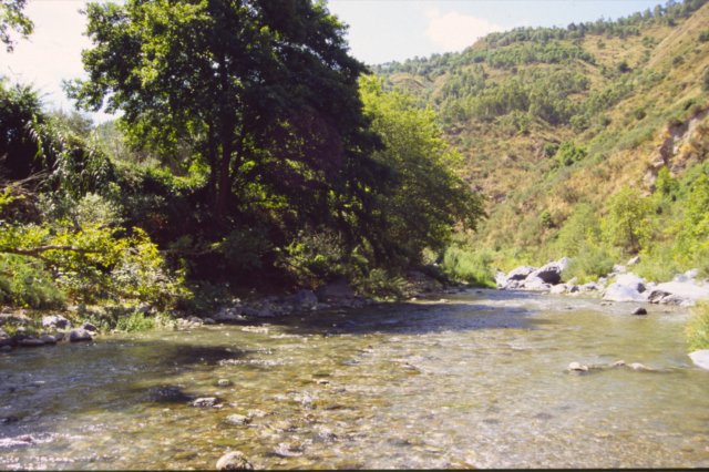 sicilia20050090.jpg