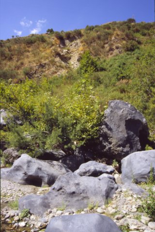 sicilia20050093.jpg
