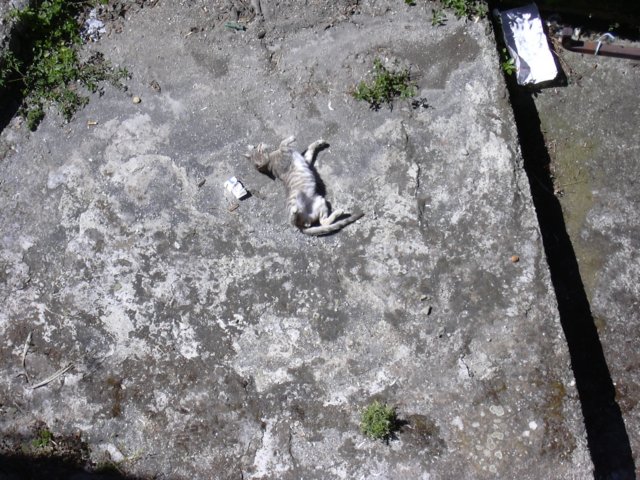 sicilia2005071.jpg