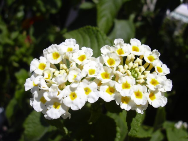 sicilia2005083.jpg