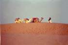 marocco0005_small.jpg