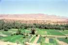 marocco0012_small.jpg