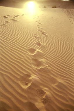 marocco0017.jpg