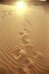 marocco0017_small.jpg
