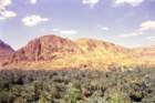 marocco0038_small.jpg
