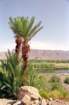 marocco0039_small.jpg