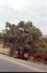marocco0058_small.jpg