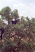 marocco0059_small.jpg