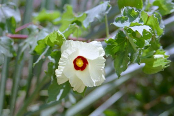 marocco0060.jpg