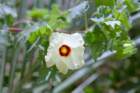marocco0060_small.jpg