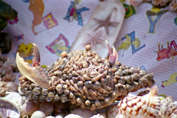 marocco0081.jpg