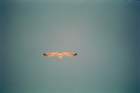 marocco0082_small.jpg