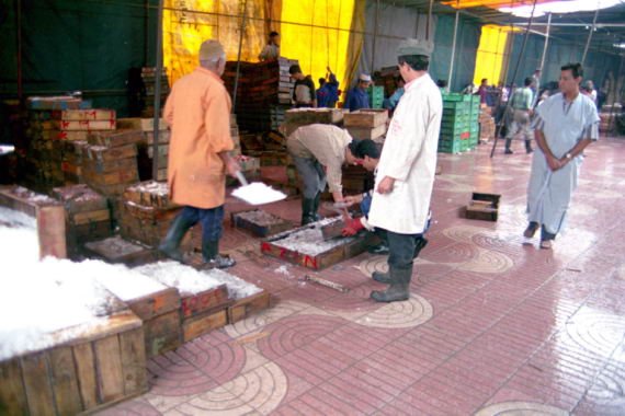 marocco0084.jpg