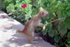 marocco0097_small.jpg