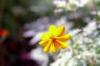 marocco0100_small.jpg