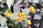 marocco0111_small.jpg