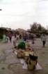 marocco0116_small.jpg