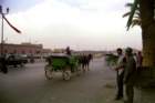 marocco0127_small.jpg