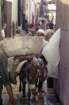 marocco0151_small.jpg