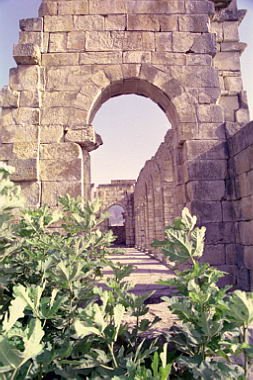 marocco0160.jpg