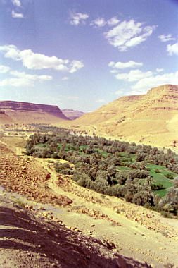 marocco0175.jpg