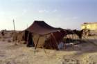 marocco0177_small.jpg