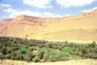 marocco0180_small.jpg