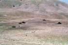 marocco0184_small.jpg