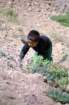 marocco0186_small.jpg