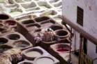 marocco0193_small.jpg