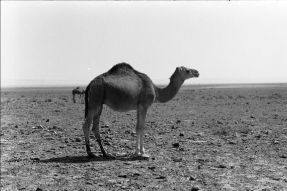 maroccobw0025.jpg