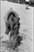 maroccobw0027_small.jpg