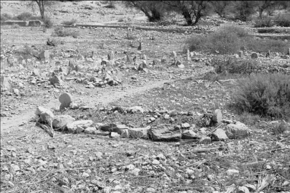 maroccobw0034.jpg