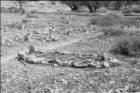 maroccobw0034_small.jpg