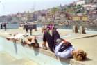 portogallo0114_small.jpg