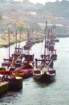 portogallo0120_small.jpg