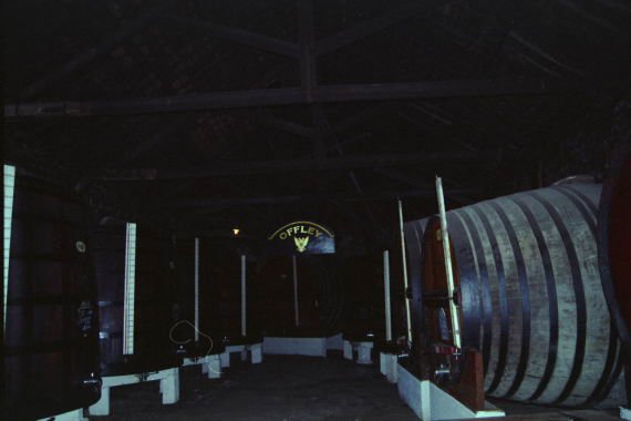 portogallo0127.jpg