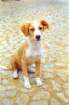 portogallo0182_small.jpg