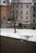 praga0071_small.jpg